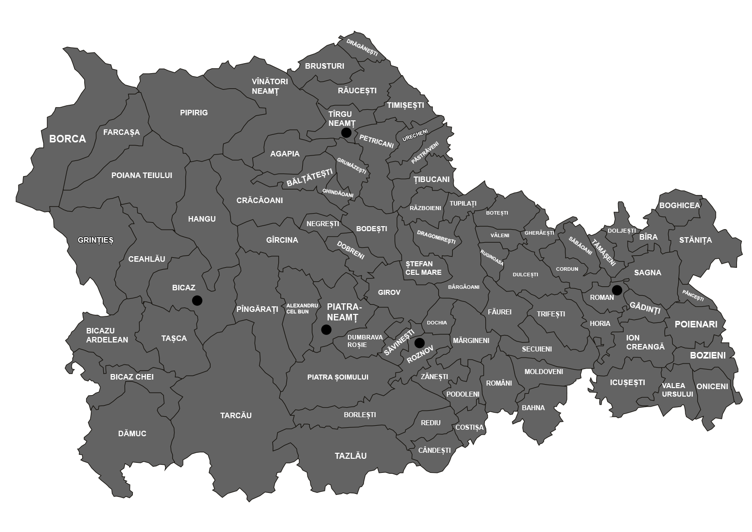 Cele mai noi știri din Neamț